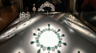 Paris prosecutor promises update in Louvre heist probe