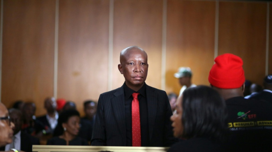 S.African left-wing leader sentenced to jail term on gun charges
