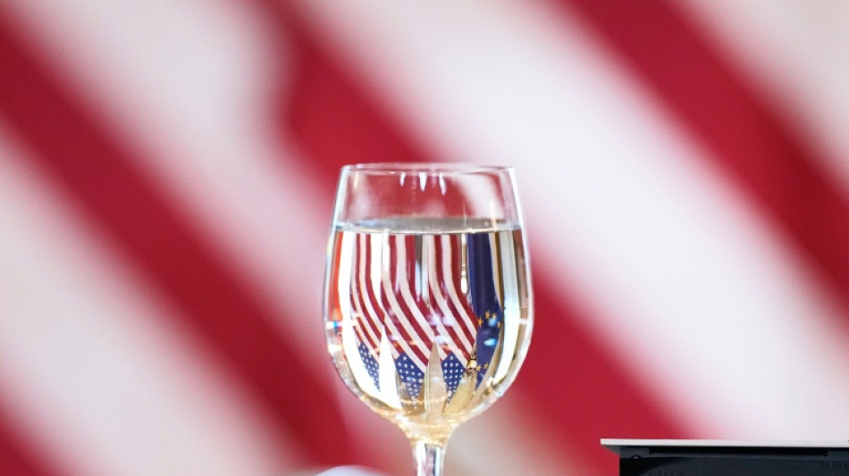 EU puts US trade deal on ice after Supreme Court ruling