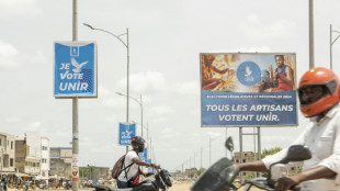 Togo: des l&eacute;gislatives apr&egrave;s une r&eacute;forme clivante de la Constitution