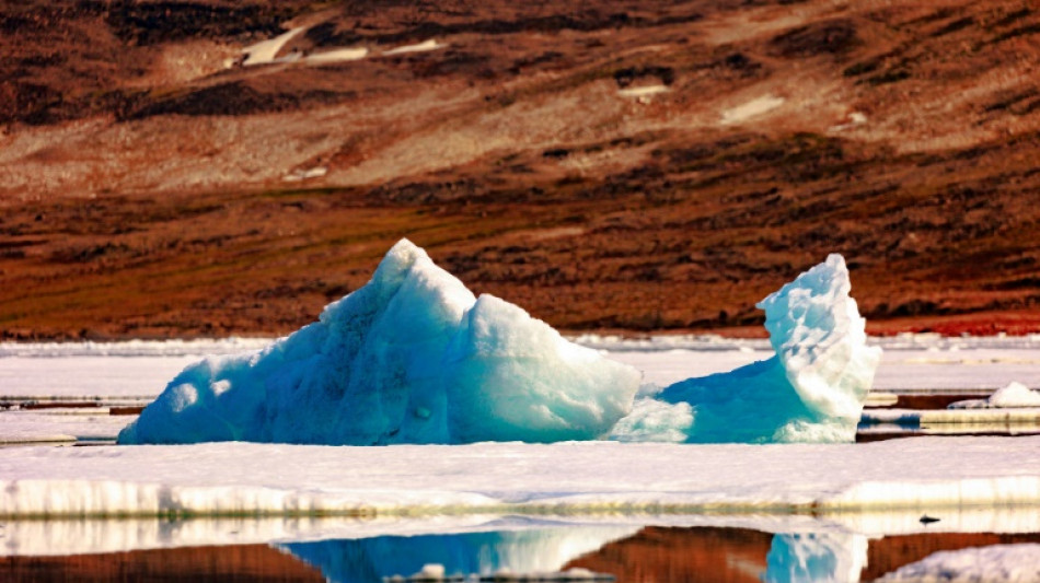 Arctic warming four times faster than rest of Earth: study