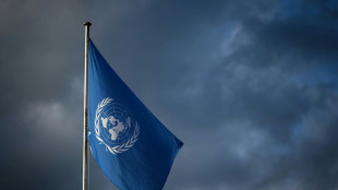 Brevets et biopiraterie: Ouverture des n&eacute;gociations &agrave; l'ONU sur les ressources g&eacute;n&eacute;tiques