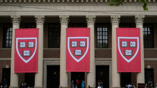Harvard obtém vitória contra Trump na Justiça dos EUA