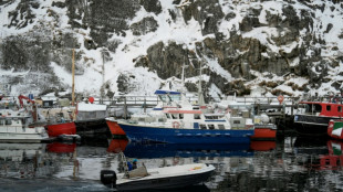 EUA: envio de militares europeus &agrave; Groenl&acirc;ndia 'n&atilde;o tem nenhum impacto'