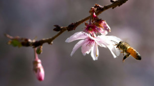 EU-Kommission will bestimmte Pestizide zeitlich unbegrenzt zulassen