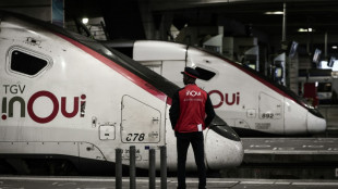 Record de voyageurs dans les TGV en 2025