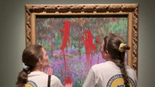 Monet-Gemälde mit Farbe beschmiert: Freispruch für Klima-Aktivistinnen in Schweden
