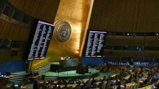 L'Assembl&eacute;e g&eacute;n&eacute;rale de l'ONU r&eacute;clame un "cessez-le-feu humanitaire" &agrave; Gaza