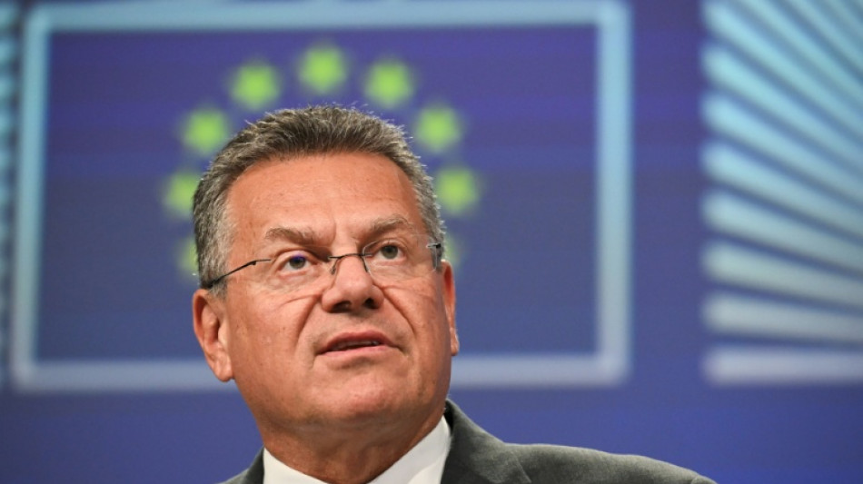 EU-Handelskommissar: Aufschub chinesischer Exportkontrollen gilt auch für EU