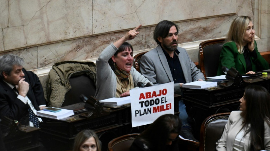 Argentine: nouvel examen de passage au Parlement pour les r&eacute;formes Milei &eacute;dulcor&eacute;es