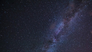 Non ci sar&agrave; l'attesa cometa di Halloween, il Sole l'ha distrutta