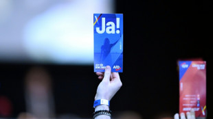 AfD-Jugend begleitet von massiven Protesten gegründet - Rechtsaußenpolitiker Hohm als Chef