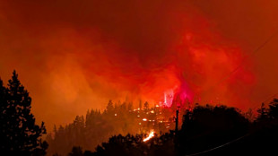 Canada: une octog&eacute;naire meurt dans un vaste feu de for&ecirc;t dans l'ouest
