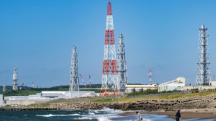 Japon: la plus grande centrale nucl&eacute;aire du monde doit red&eacute;marrer mercredi
