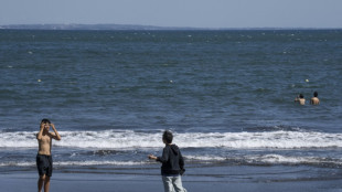 Wetterbehörde: 1,3 Meter hohe Tsunamiwelle in Japan verzeichnet