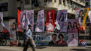 A Hong Kong, participation historiquement basse aux &eacute;lections sans parti d'opposition