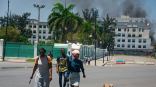 En Ha&iuml;ti, des gangs arm&eacute;s vandalisent des b&acirc;timents culturels et &eacute;ducatifs
