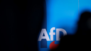 Zahlreiche gewaltbereite St&ouml;rer zu AfD-Parteitag in Essen erwartet