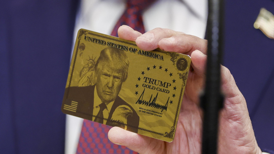 Il visto da 1 milione di dollari di Trump assegnato finora a un sola persona