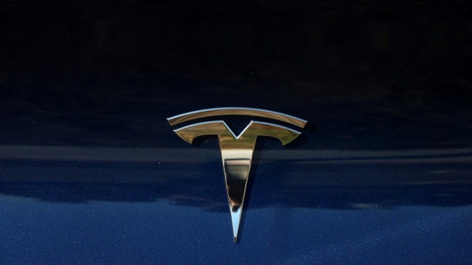 Hafenarbeiter in Schweden schlie&szlig;en sich Streik gegen Tesla an 