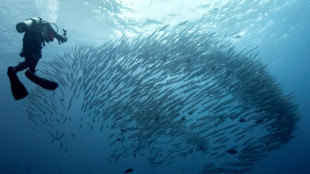 Trump réautorise la pêche commerciale dans un vaste sanctuaire marin du Pacifique