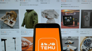 Mehr Wettbewerb und schlechte Konsumlaune in China: Temu-Konzern w&auml;chst langsamer