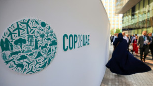 A la COP28, suspense autour du blocage de l'Arabie saoudite et de ses alli&eacute;s