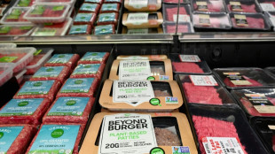 Trend h&auml;lt an: Produktion von Fleischersatz 2023 um 16,6 Prozent gestiegen