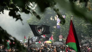 Sous la pluie, plus de 20.000 de personnes &agrave; Paris pour les Palestiniens, les Kanak et Cl&eacute;ment M&eacute;ric