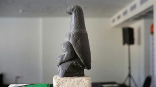 S.Africa returns stolen human remains, sacred carving to Zimbabwe