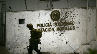 Colombie: la dissidence des Farc &agrave; l'offensive pr&egrave;s de Cali, menaces sur la COP16