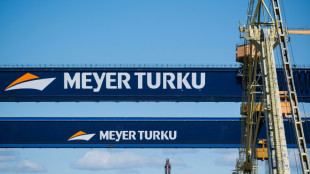 Gr&uuml;nes Licht im Haushaltsausschuss f&uuml;r Staatseinstieg bei Meyer Werft