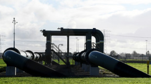 Gaz: la France propose que les 27 d&eacute;cident d'un "plafonnement" du prix d'achat aux fournisseurs