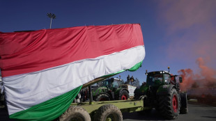 Les agriculteurs toujours mobilis&eacute;s dans certains pays en Europe
