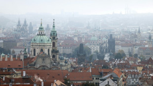 Czech FM summons Chinese ambassador over cyberattack