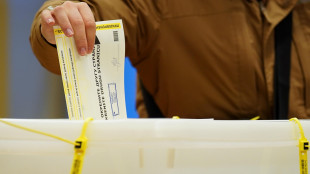 Bosnia, chiusi i seggi per le presidenziali nell'entità serba