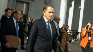 Anklage: Ex-FBI-Informant erfand Korruptionsvorw&uuml;rfe gegen Hunter Biden