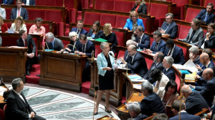 Retraites: victoire d'&eacute;tape pour le camp pr&eacute;sidentiel contre l'abrogation des 64 ans