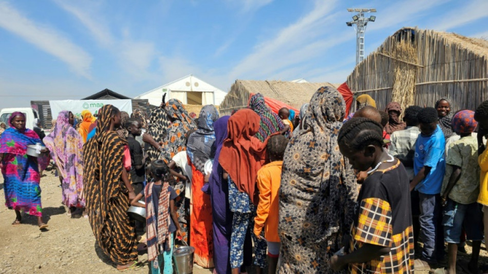 Misi&oacute;n independiente de la ONU sobre Sud&aacute;n halla "indicios de genocidio" en El Fasher