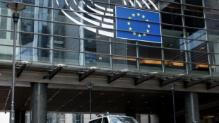 Soup&ccedil;ons d'ing&eacute;rence russe: perquisitions au Parlement europ&eacute;en
