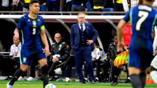 Calcio: Ancelotti, 'spero che l'Italia si qualifichi ma non vedr&ograve; la partita'