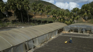 Desemprego marca outro recorde positivo no Brasil