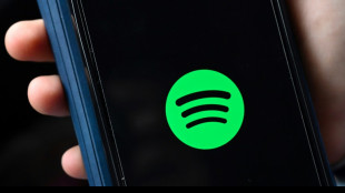 "Provokante" Playlisten-Titel: Türkische Behörden nehmen Spotify ins Visier