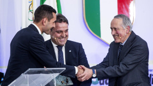 >ANSA-BOX/Zappi, con RefCam tutti capiranno difficoltà arbitro