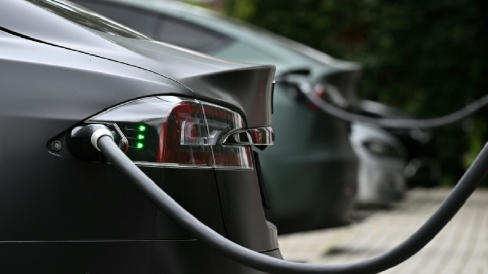 Le v&eacute;hicule &eacute;lectrique perd son &eacute;lan aux Etats-Unis