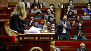 Retraites: l'Assembl&eacute;e sous haute tension pour la derni&egrave;re journ&eacute;e de d&eacute;bats