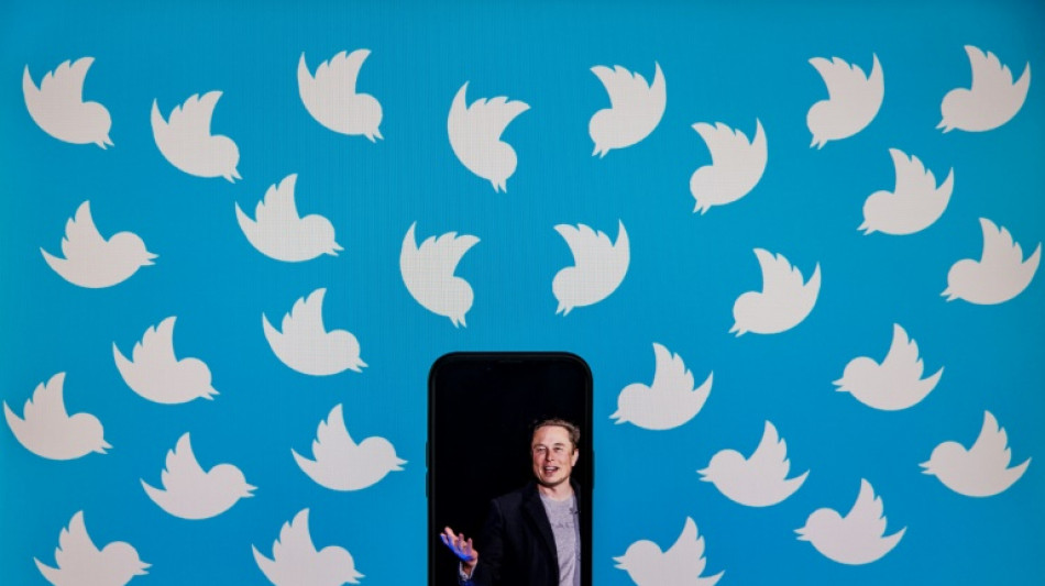 Musk lanza encuesta en Twitter sobre "amnist&iacute;a general" de cuentas suspendidas
