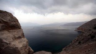 Trump, 'prezzi petrolio caleranno rapidamente, rialzo &egrave; piccolo prezzo da pagare'