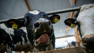 Erzeugerpreise f&uuml;r landwirtschaftliche Produkte im August wieder r&uuml;ckl&auml;ufig