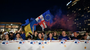 G&eacute;orgie : la loi sur l'"influence &eacute;trang&egrave;re" promulgu&eacute;e, l'opposition pro-europ&eacute;enne s'unit